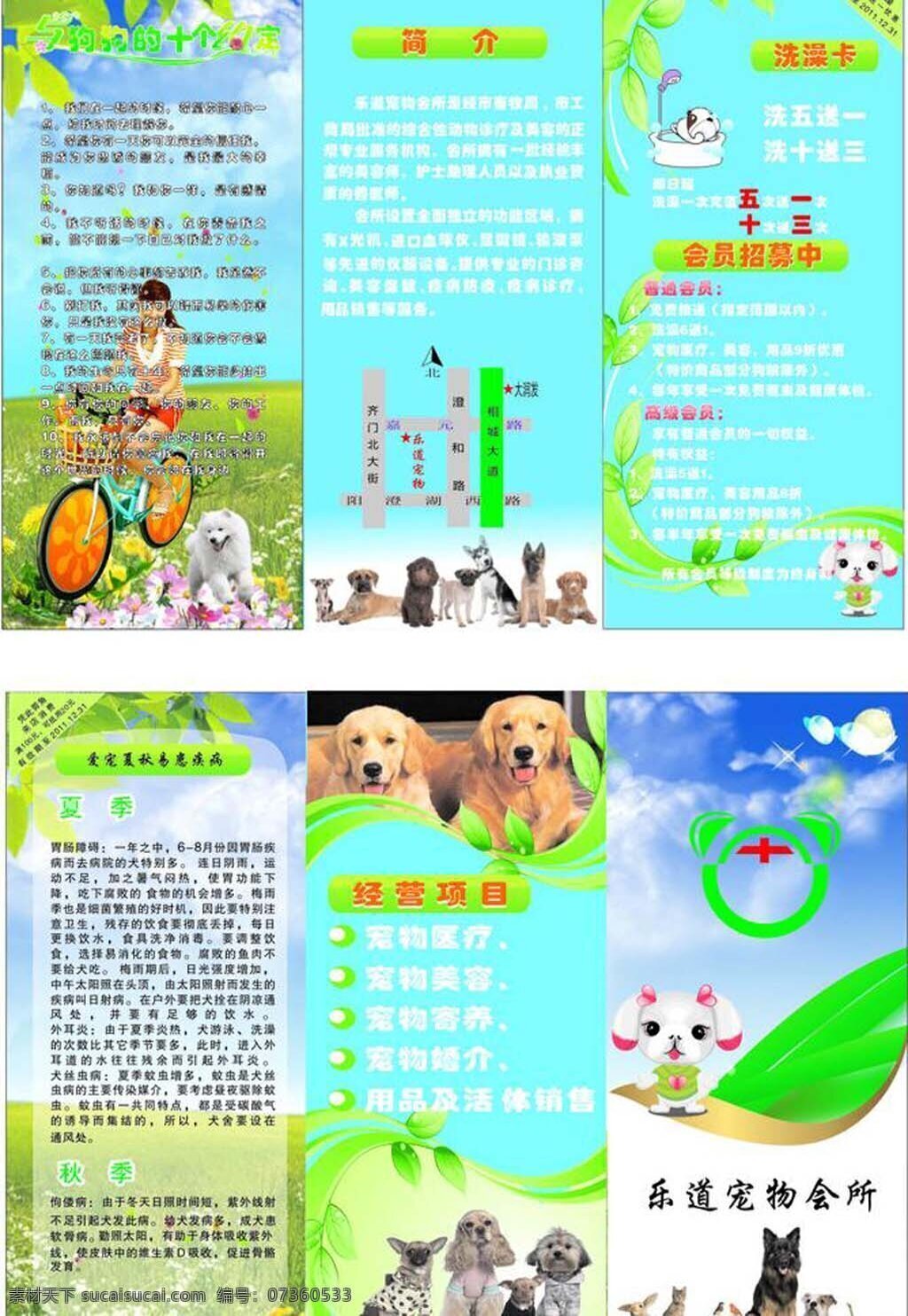 宠物三折页 宠物 三折页 青色 天蓝色