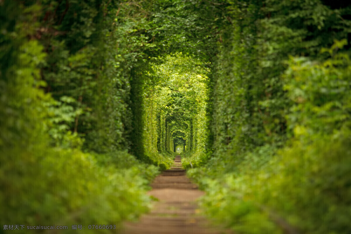 小路 小径 隧道 铁路 绿色 蔓藤 植物 曲径通幽 道路 林荫路 唯美 梦幻 美景 花草 乌克兰 爱的隧道 自然景观 自然风景