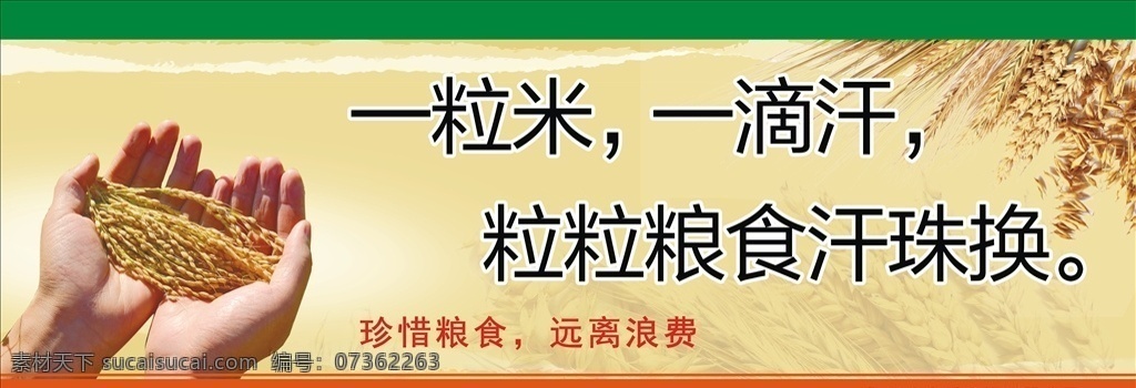 珍惜 粮食 宣传海报 珍惜粮食 珍惜粮食海报 食堂标语 节约粮食 珍惜粮食展板 珍惜粮食广告 餐厅展架 食堂海报 食堂文化 学校食堂 勤俭节约 反对浪费 光盘行动 食堂 机关食堂 部队食堂 军营食堂 单位食堂标语 学校餐厅 食堂展板 食堂挂画 餐厅海报 饮食文化 勤俭节约展板 拒绝浪费 餐馆海报 餐厅装饰画 餐厅挂画