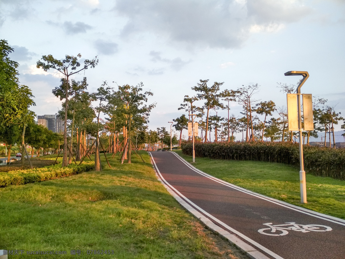 马尾东江滨 跑到 自行车道 公园 树 晨练 草地 绿地 风景 江滨 早晨 跑道 路灯 傍晚公园 傍晚跑道 自然景观 自然风景