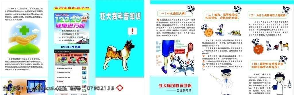 狂犬病 科普知识 狗 卡通狗 卡通人物 手掌 狗咬人 卡通医生