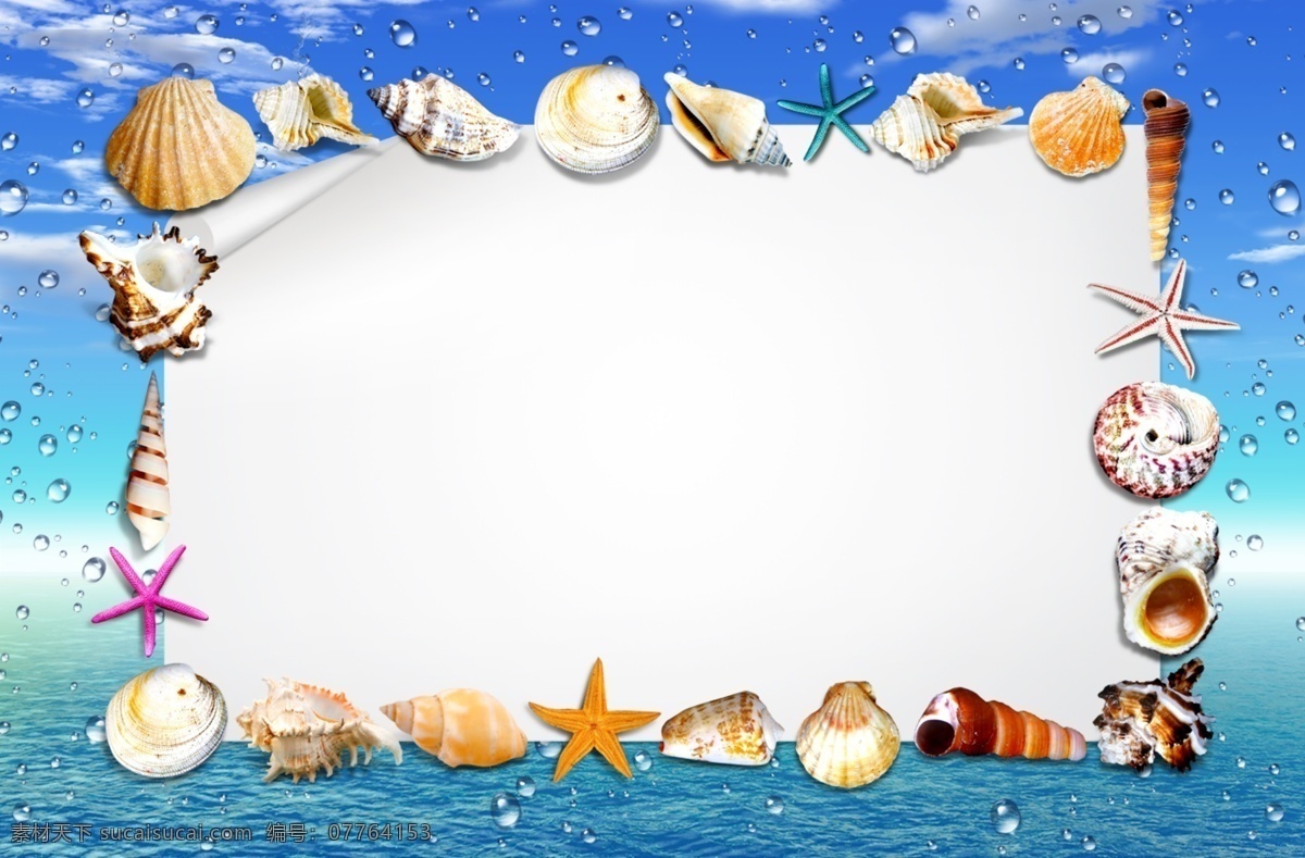 大海 海洋 田螺 海星 贝壳 蓝色 海报