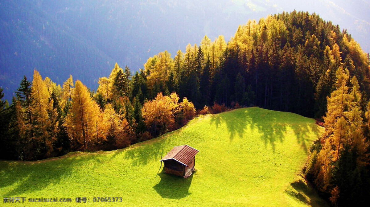 秋天 里 小 木屋 树木 树叶 小屋 黄色的树叶 风景 生活 旅游餐饮