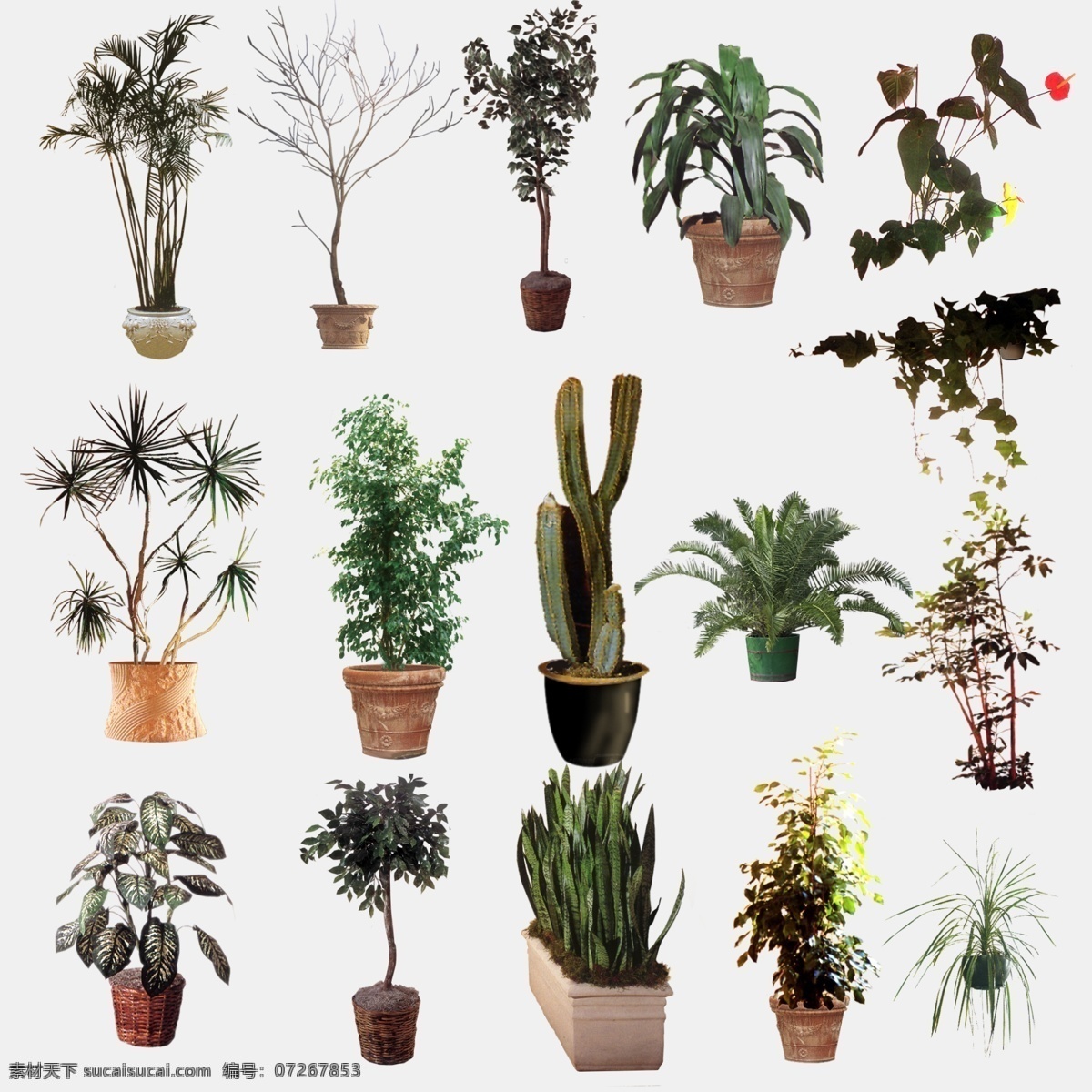 植物盆景 室内 植物 盆景 分层 源文件