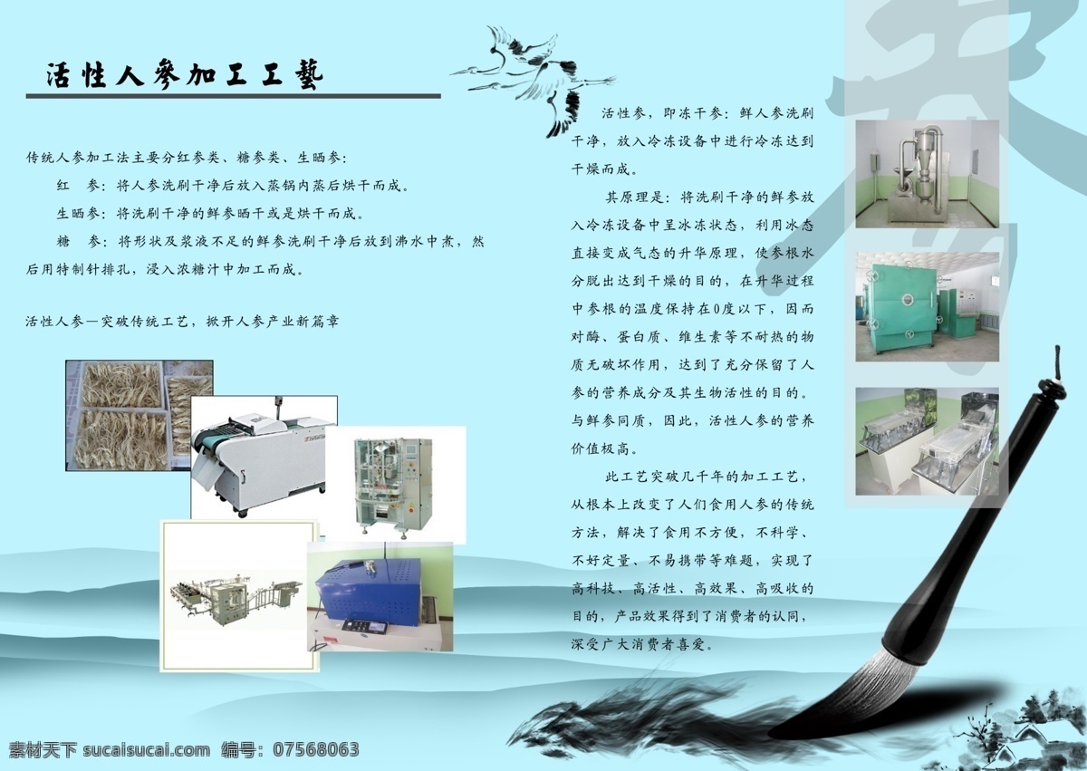 画册内页 画册设计 人参 人参文化 人参加工 广告设计模板 源文件库