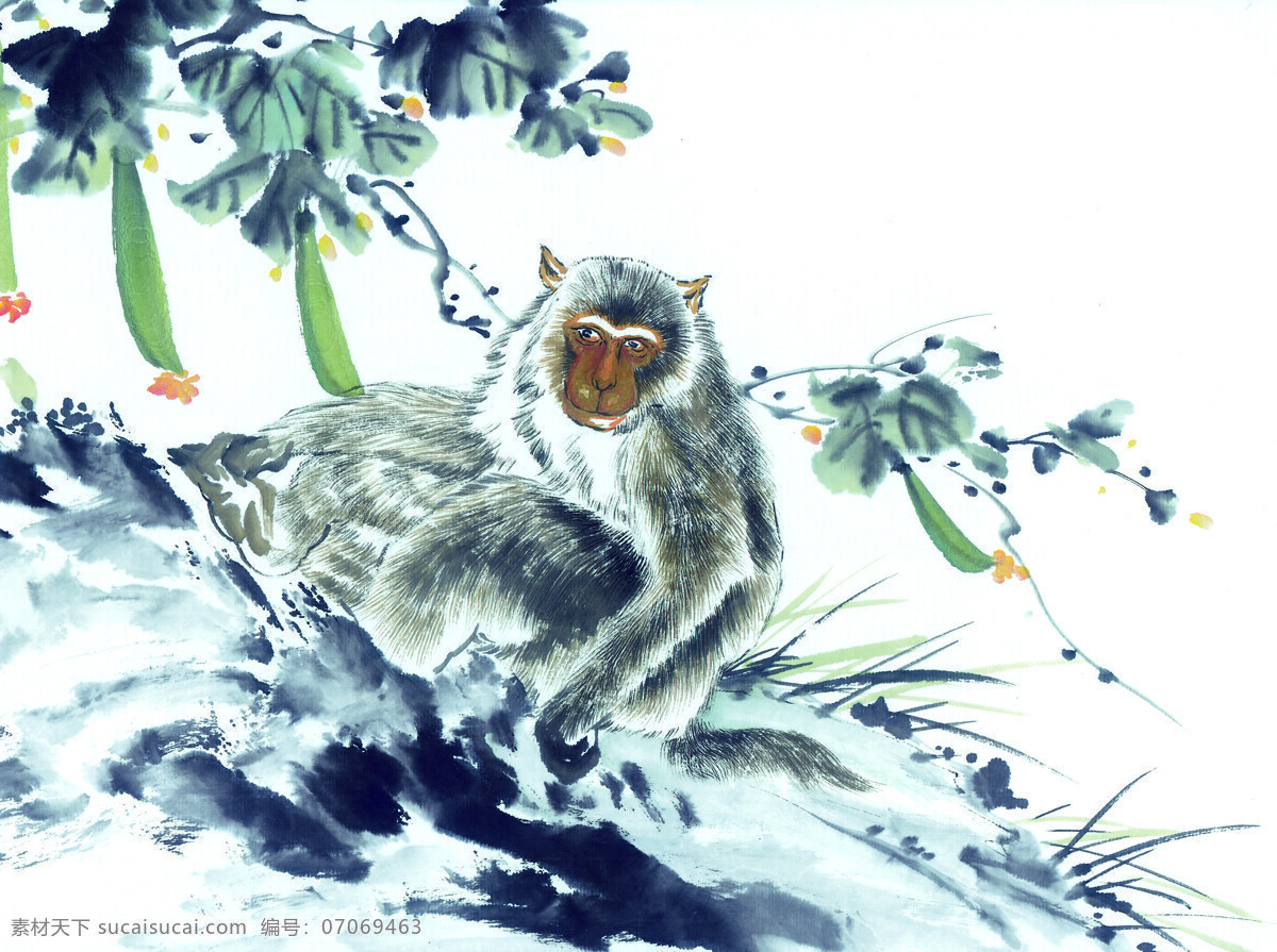 中华 艺术 绘画 古画 动物 猴子 中国 古代 传统绘画艺术 美术绘画 名画欣赏 水彩画 水墨画 文化艺术