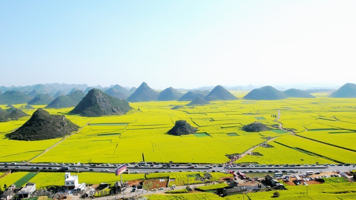 罗平油菜花 油菜花 山丘 车 quot 龙 旅游摄影 国内旅游 摄影图库
