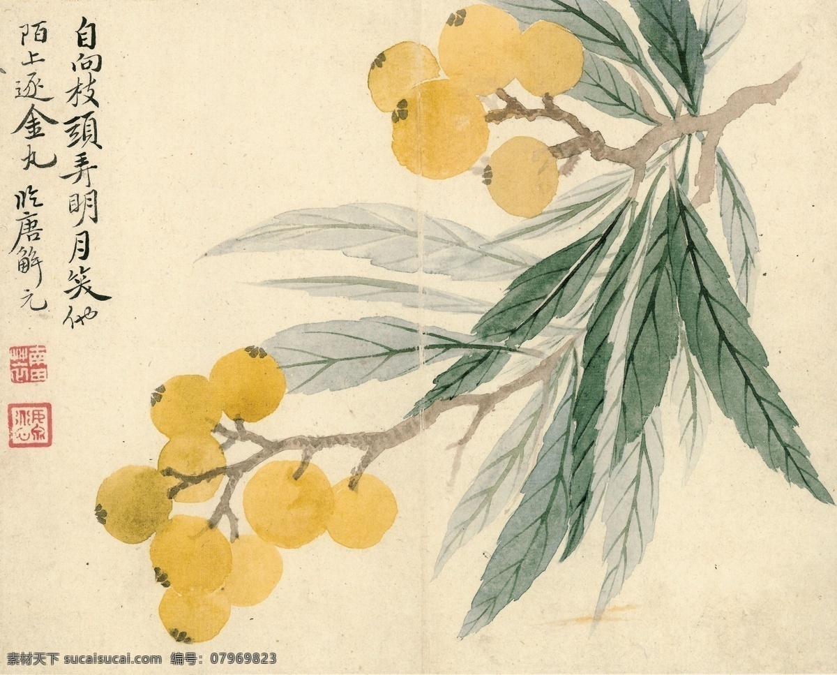 清 恽寿平 甌香館寫生冊 枇杷 古画 中国画 工笔画 工笔画鸟 工笔 古代 花鸟画 古画图 工笔画素材 国画 水墨工笔画 工笔画画稿 写意绘画 文化艺术 绘画书法 高清 工笔画展 历代古画