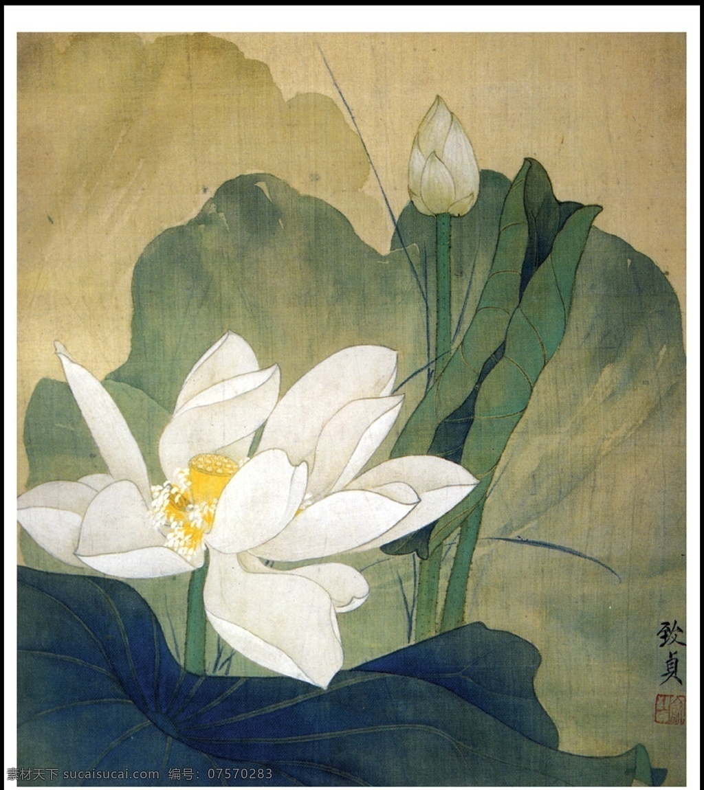 俞致贞 白荷 国画 花鸟 荷花 白 扫描 图 画 绘画书法 文化艺术
