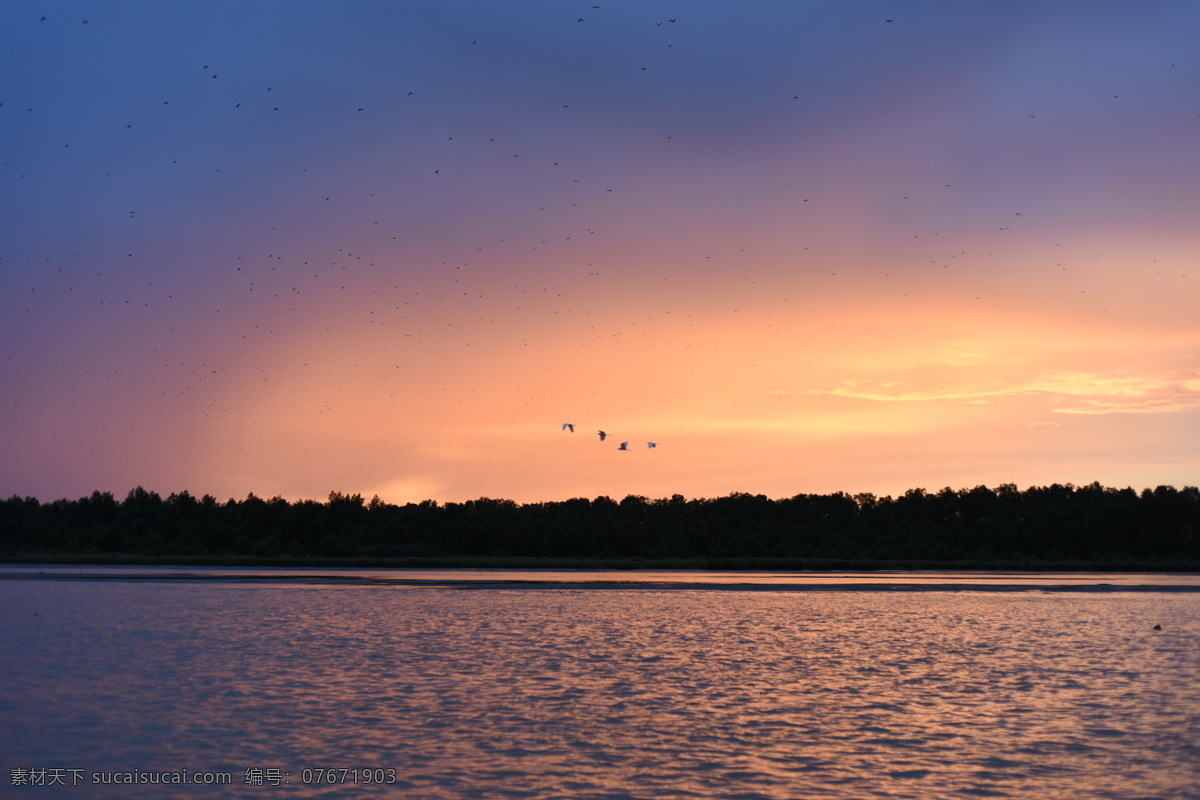 马来西亚 红树林 黄昏 傍晚 海洋 湖泊 果蝠 蝙蝠迁徙 夕阳 火烧云 落霞 渔村 自然景观 自然风景