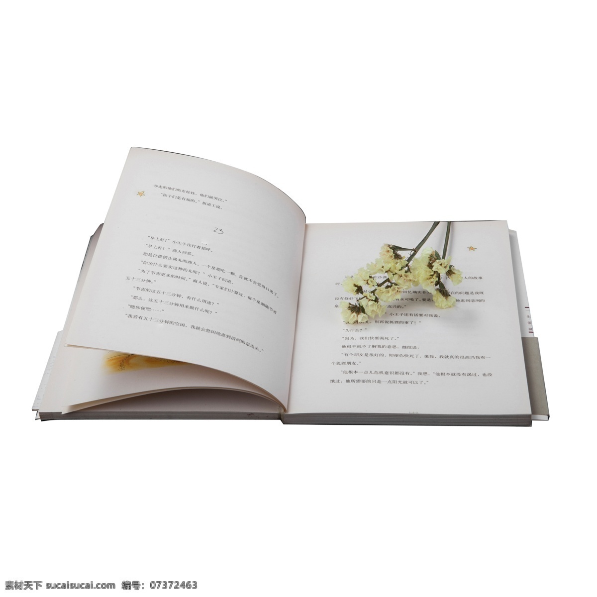 灰色 课本 上 花朵 元素 创意 课本上的花朵 植物 纹理 盛开 学习 文具 质感 读书 上课 真实质感 香气 书香