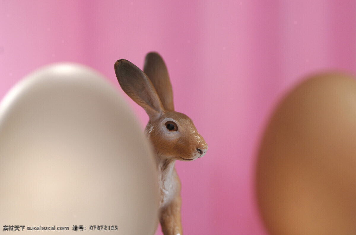 鸡蛋 兔子 可爱兔子 可爱小兔子 复活节素材 复活节装饰品 陆地动物 生物世界