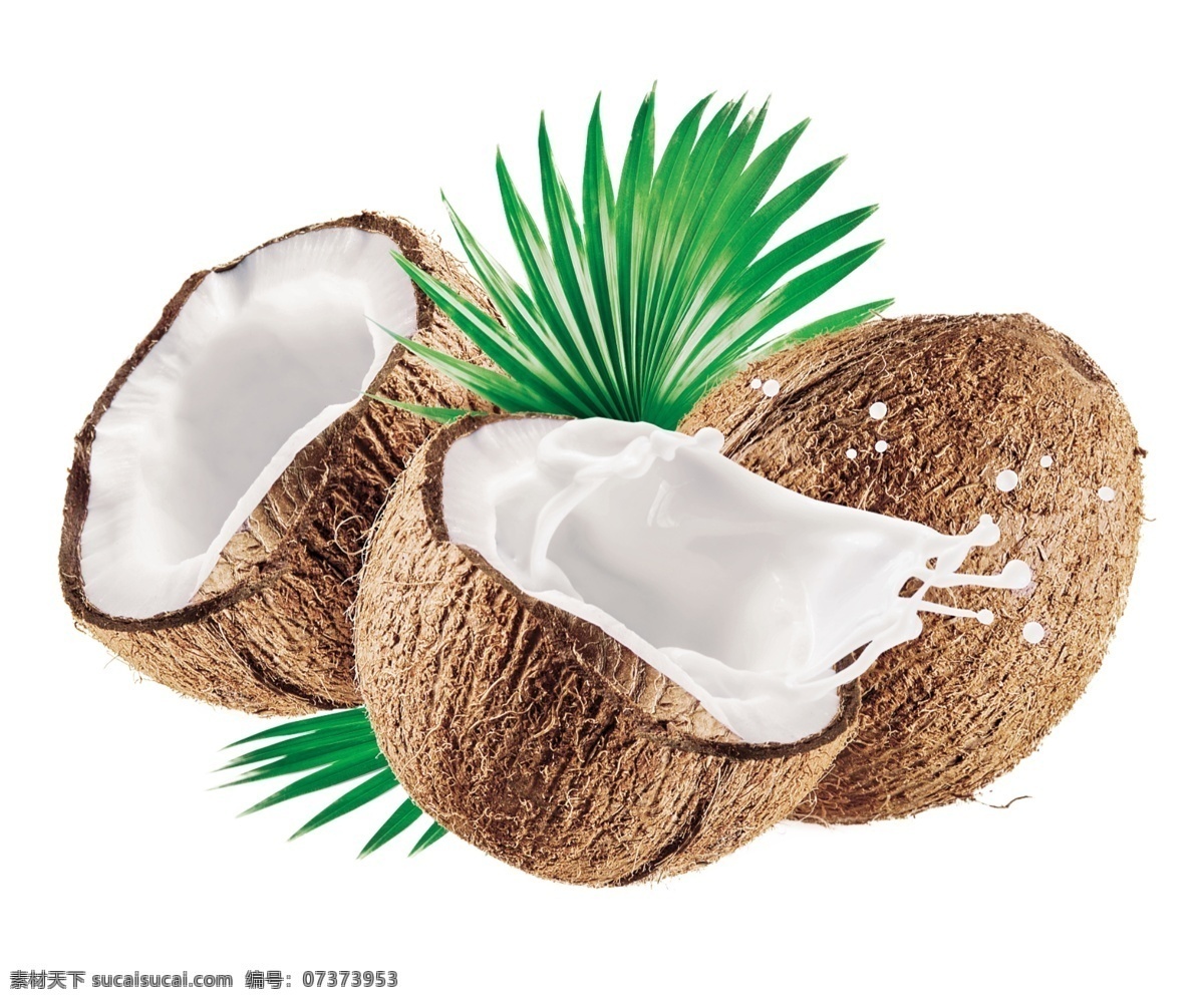 带椰叶椰子 整个椰子 半个椰子 带椰奶花 水果类 分层