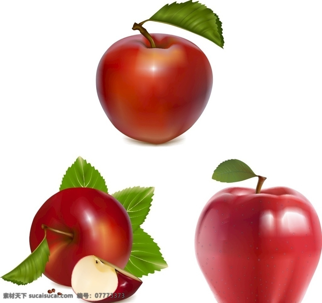 矢量素材 水果 手绘 水果大全 新鲜水果素材 矢量水果素材 矢量 水果素材 新鲜水果 矢量水果 新鲜苹果 苹果素材 绿苹果 印度青 青苹果 苹果大全 切开的苹果 矢量苹果