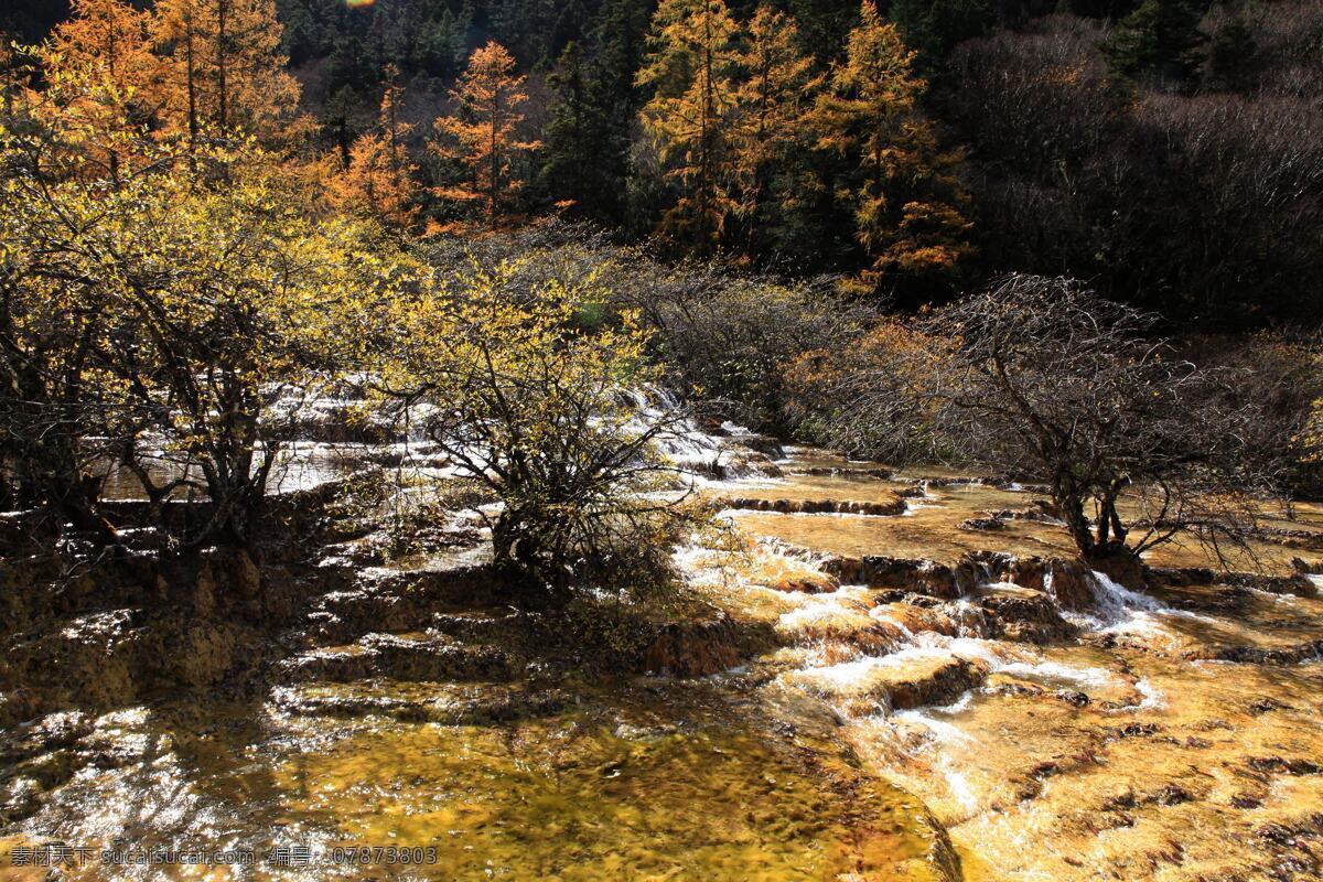 黄龙景区风光 黄龙 九寨沟 川西 景区 小溪 溪水 河流 峡谷 自然风景 山水 田园 旅游摄影