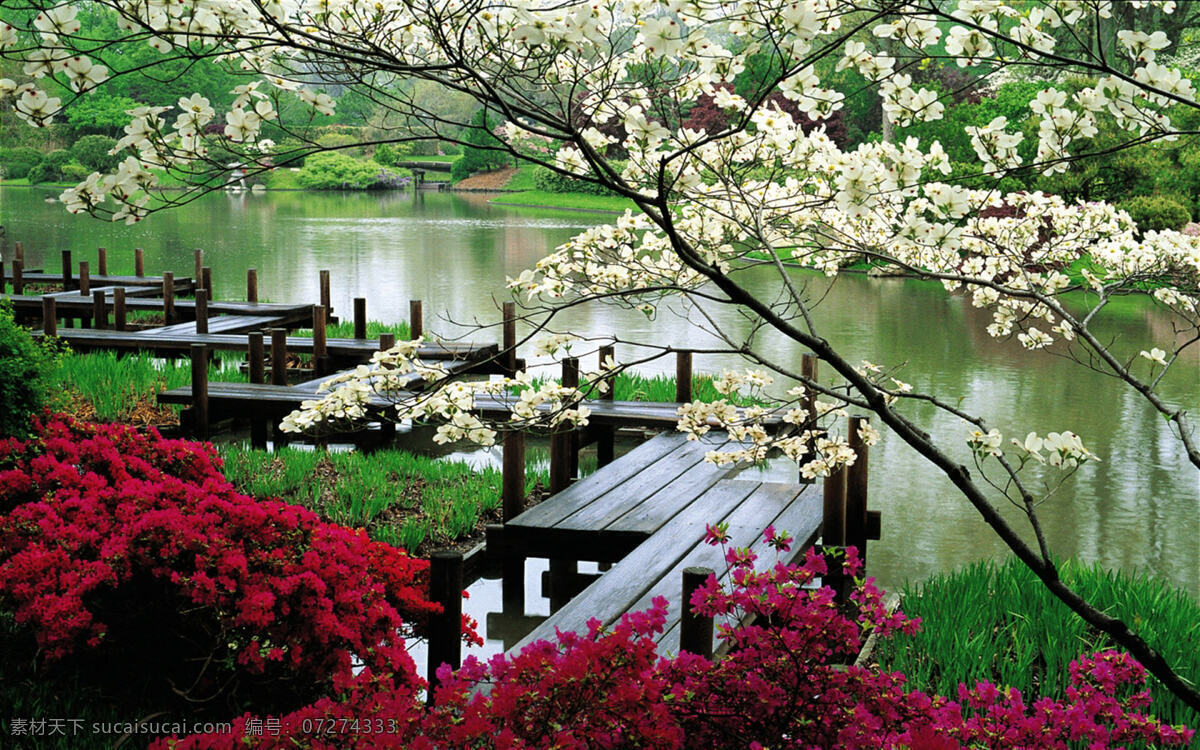 小桥流水 红色花 庭院 小桥 小河流 风景 生活 旅游餐饮