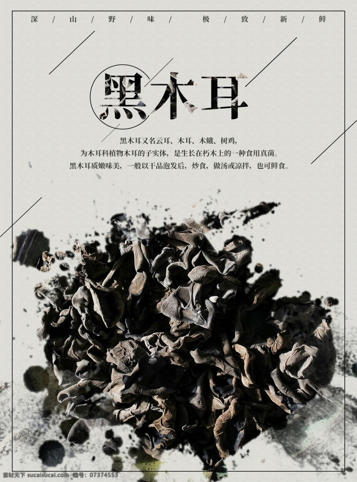 中国 风 正宗 黑木耳 保健 中国风 保健海报 海报 促销海报