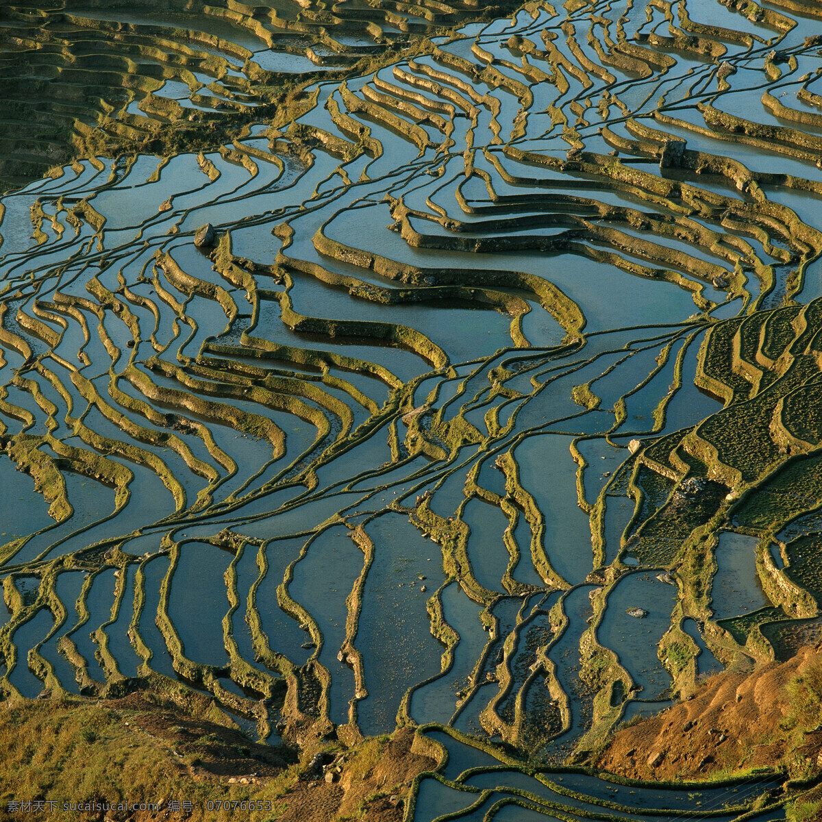 美丽 梯田 风景 美丽风景 景色 美景 风景摄影 自然风景 田园风光 山水风景 风景图片