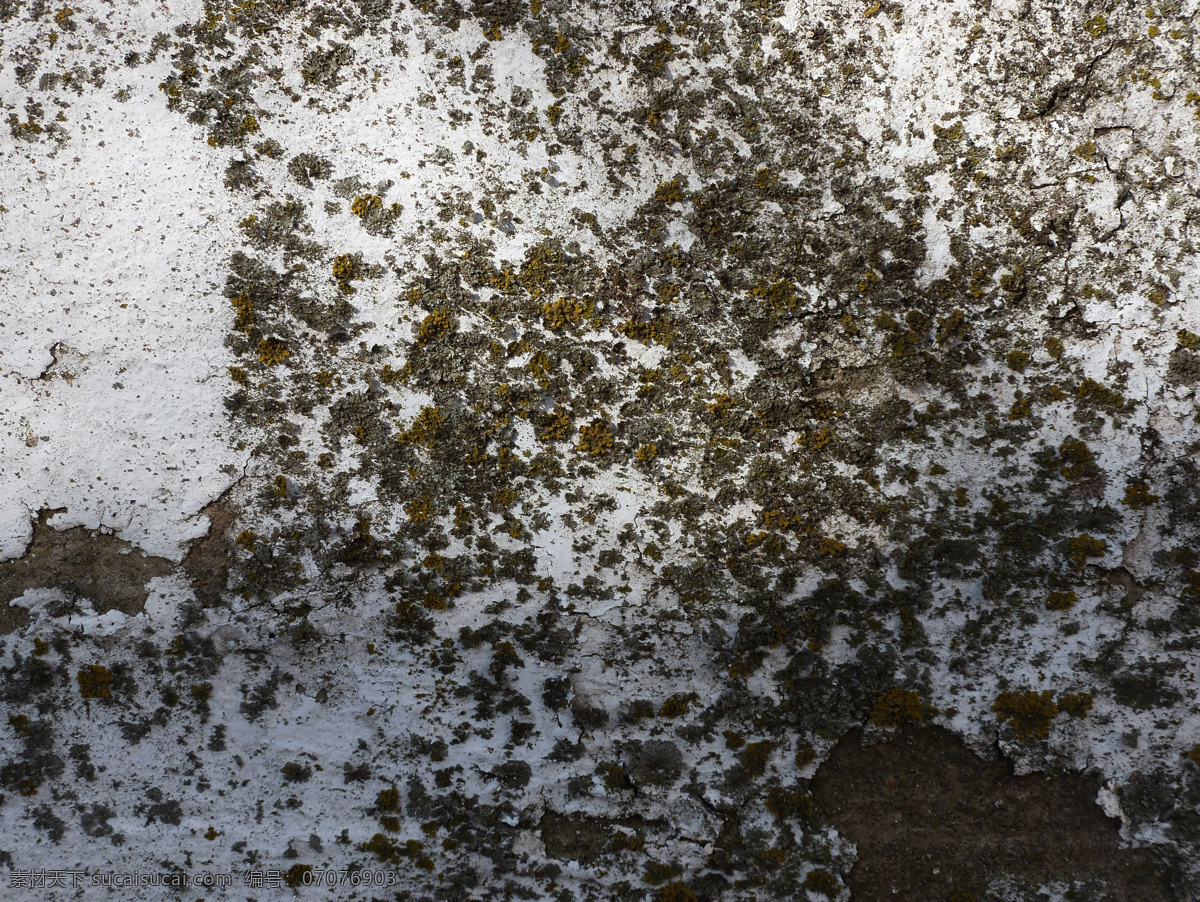 moss 10纹理 灰色