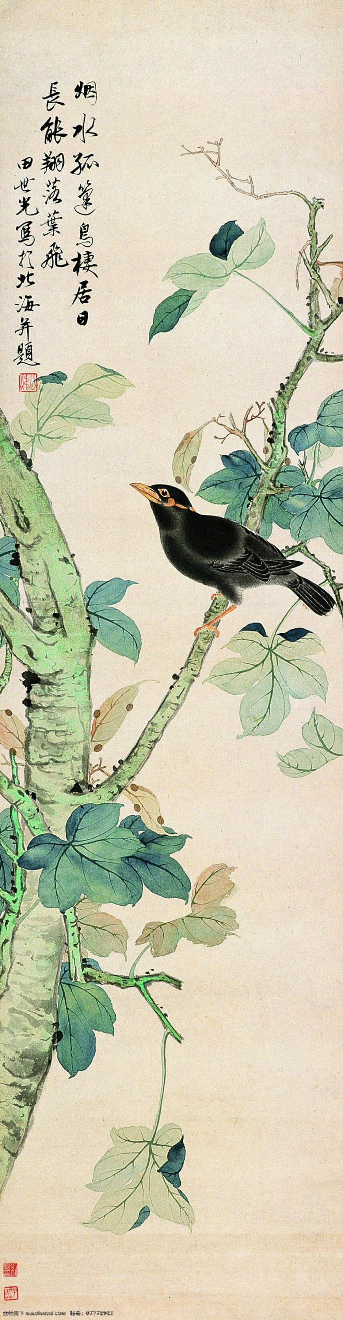 花鸟 田世光 大家 近代 国画 文化艺术 绘画书法