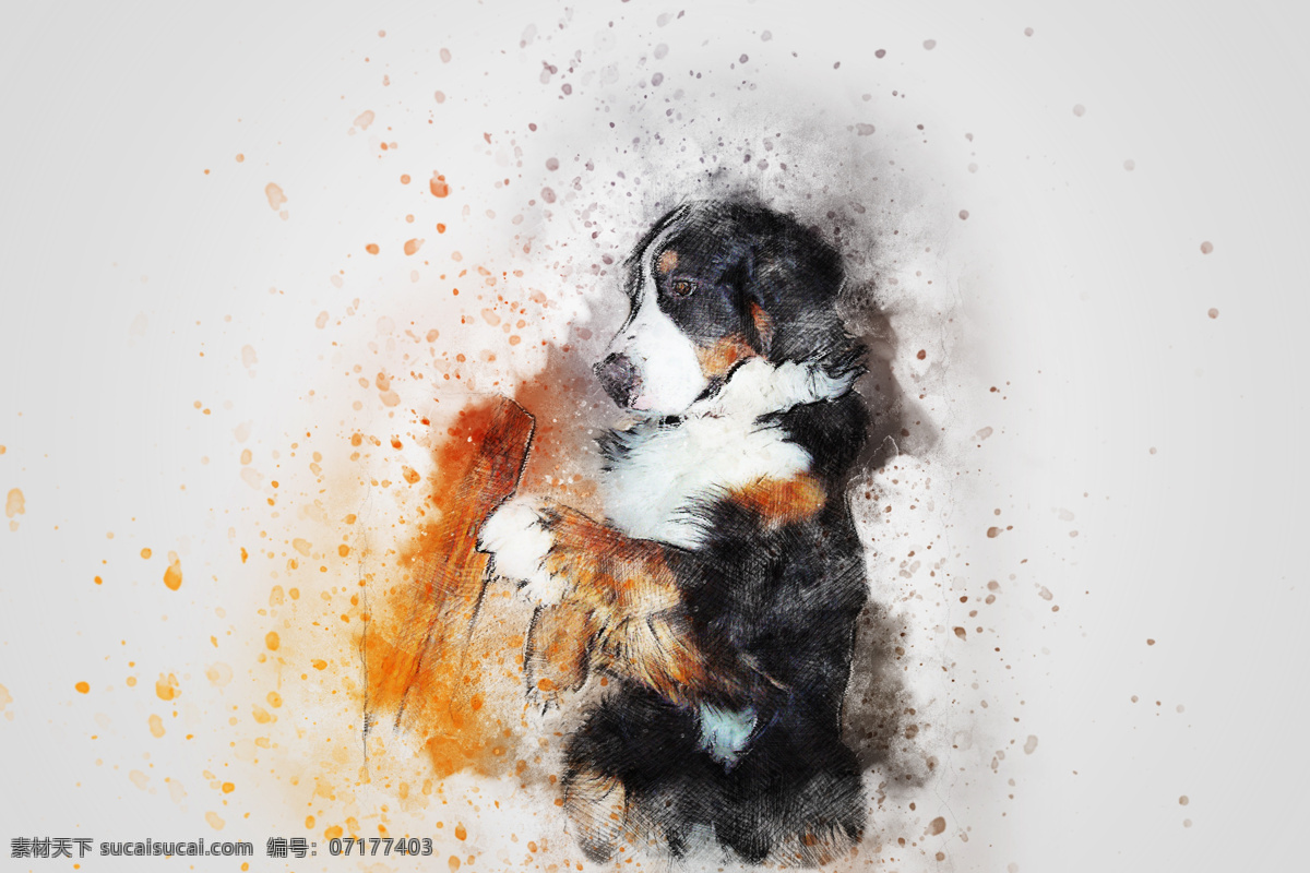狗水彩画 狗 小狗 可爱 毛茸茸 犬 动物 宠物 萌犬 伙伴 狗写真 家犬 宠物狗 家畜 导盲犬 吉娃娃 忠诚 黑狗 白狗 狗素材 狗壁纸 小狗壁纸 狗背景 狗设计 狗狗 人与狗 可爱小狗 狗摄影 忠犬 狗特写 狗鼻 狗摆拍 一条股 一只狗 遛狗 狗毛 狗头 小狗创意 腊肠狗 小狗动画 小狗狗 狗动态 生物世界 家禽家畜