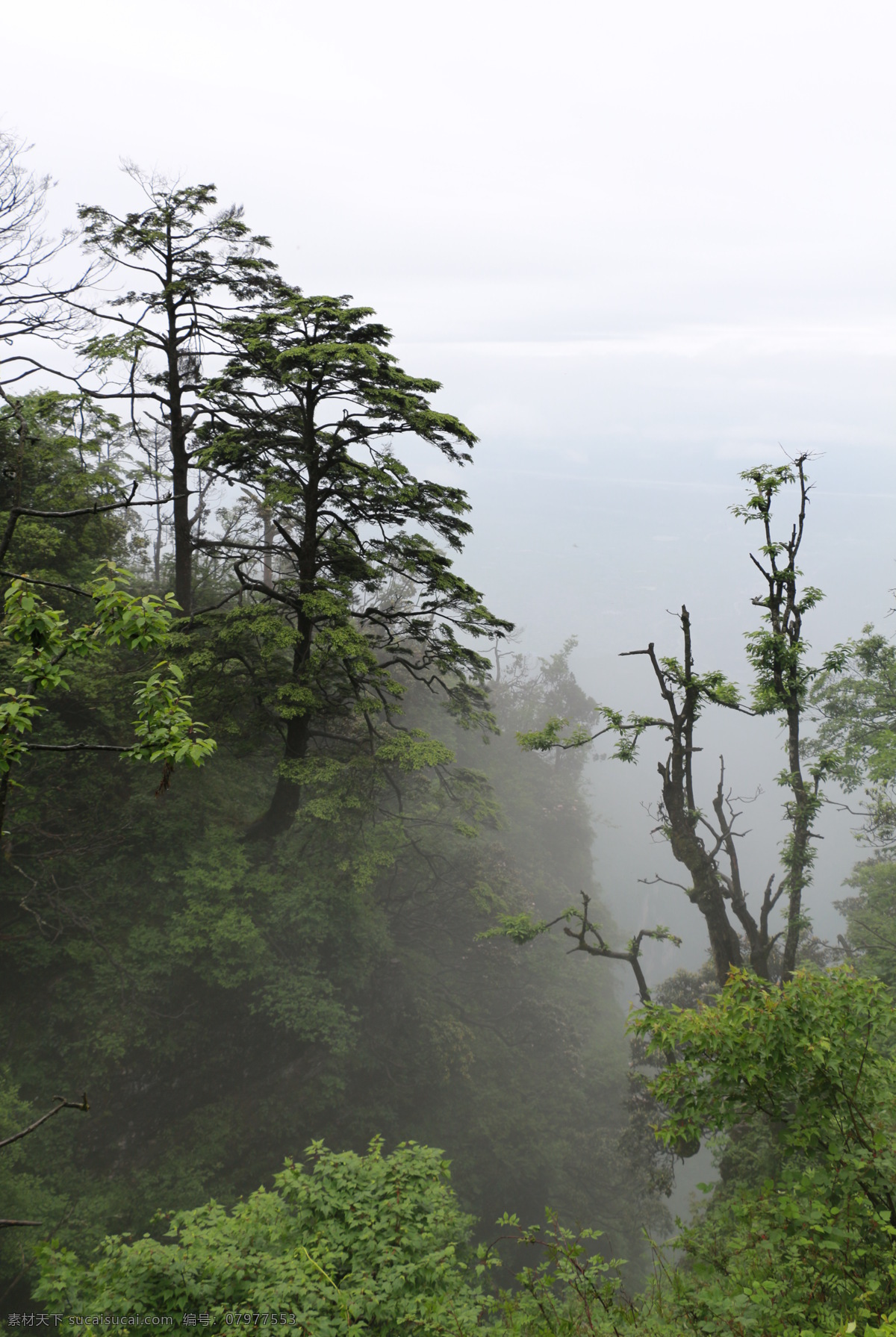峨眉山 四川峨眉山 峨眉山照片 峨眉山图片 峨眉山素材 四川景点 峨眉山旅游 峨眉山海报 峨眉山淘宝 峨眉山祈福 旅游海报 旅游峨眉山 峨眉山金顶 四川乐山 金顶风光 金顶建筑 峨眉金顶 佛教圣地 高清 自然景观 风景名胜