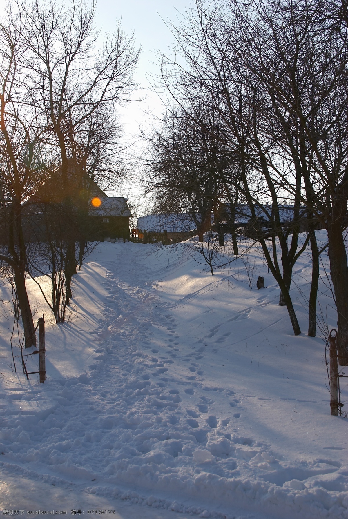 树林里的白雪 冬天雪景 冬季 美丽风景 美丽雪景 白雪 积雪 风景摄影 树木 树林 雪地 脚印 房屋 自然风景 自然景观 黑色
