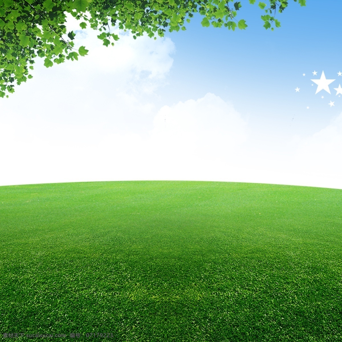 绿色大气首图 绿色 大气 树叶 草坪 白色