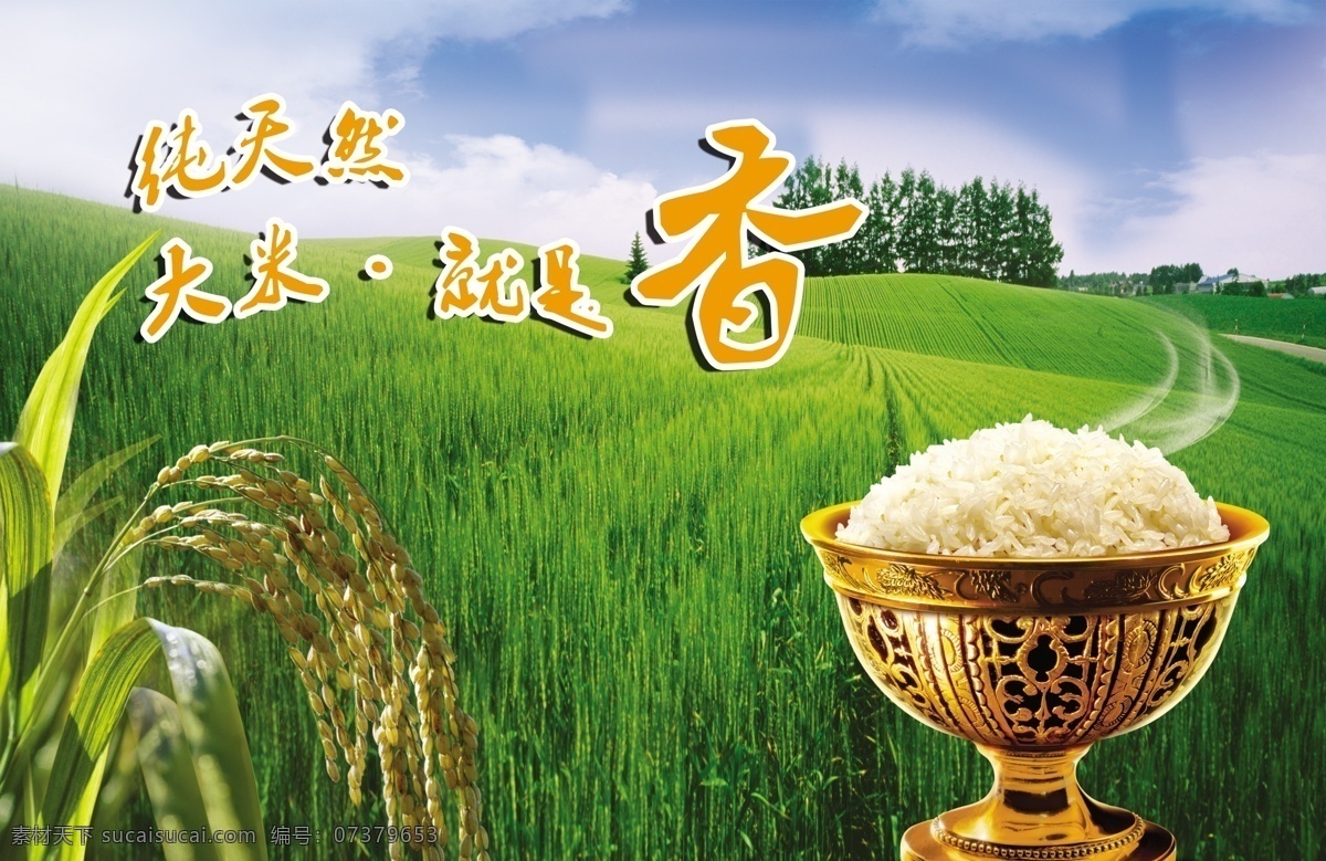 大米 粮食 粗粮 饮食文化 餐饮文化 稻子 稻田 农田 水稻 五谷杂粮 乡村风光 田园风光 单页 分层 源文件