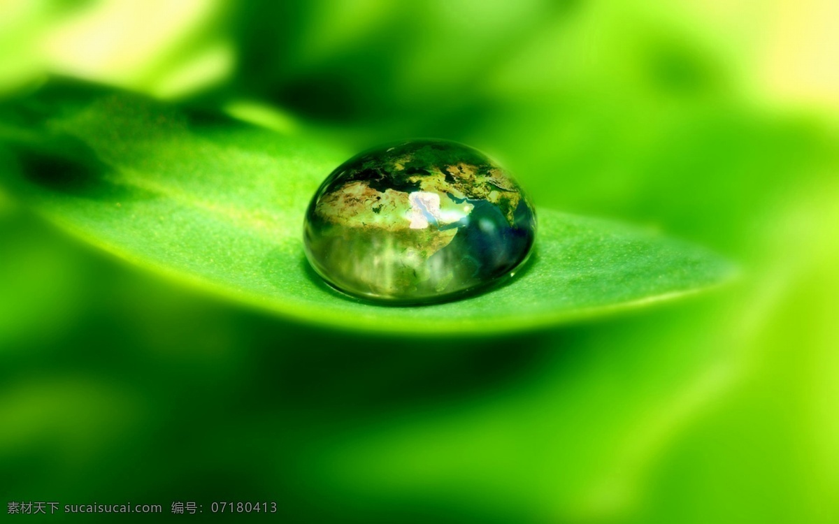 露珠 晶莹露珠 水珠 晶莹剔透 光照 树叶 特写 微距 绿叶 绿色 摄影图库 花草 生物世界 bmp