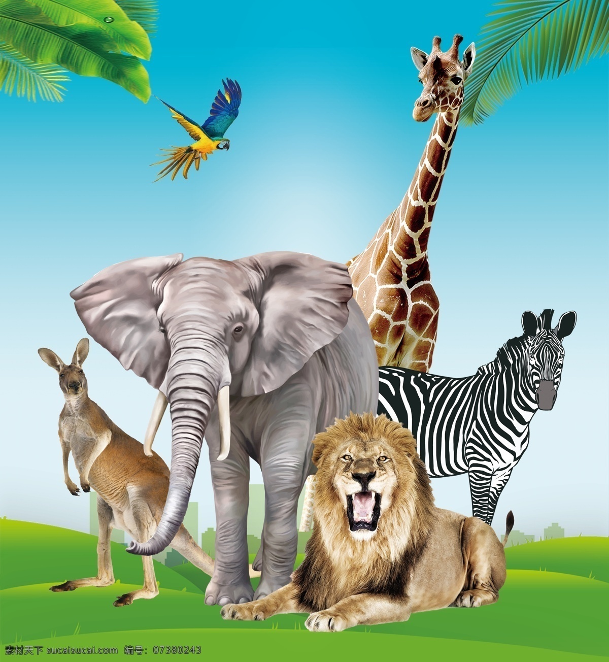 动物图片 动物园 展板 海报 动物 卡通