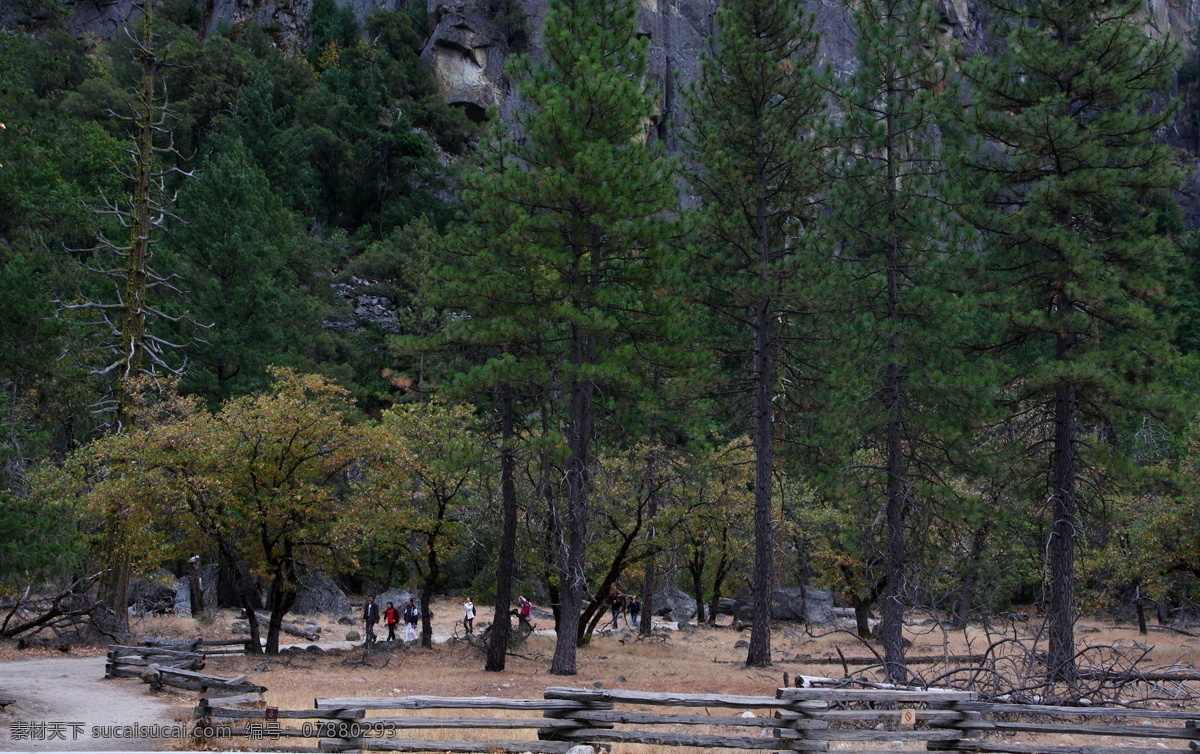 美国 优山美地 哟塞米蒂 yosemite 国家公园 美景 道路 自然 风光 大山 树木 美国印象 旅游摄影 自然风景