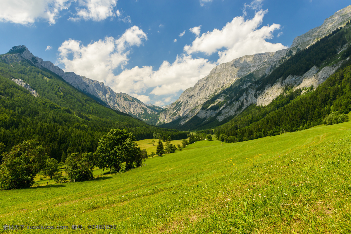 高山草原美景 高山 草原 蓝天 白云 美景 自然风景 自然景观 黑色