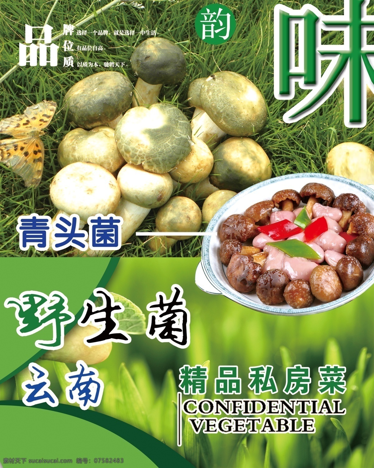 青头菌 云南野生菌 精品私房菜 分层花纹 蘑菇 分层