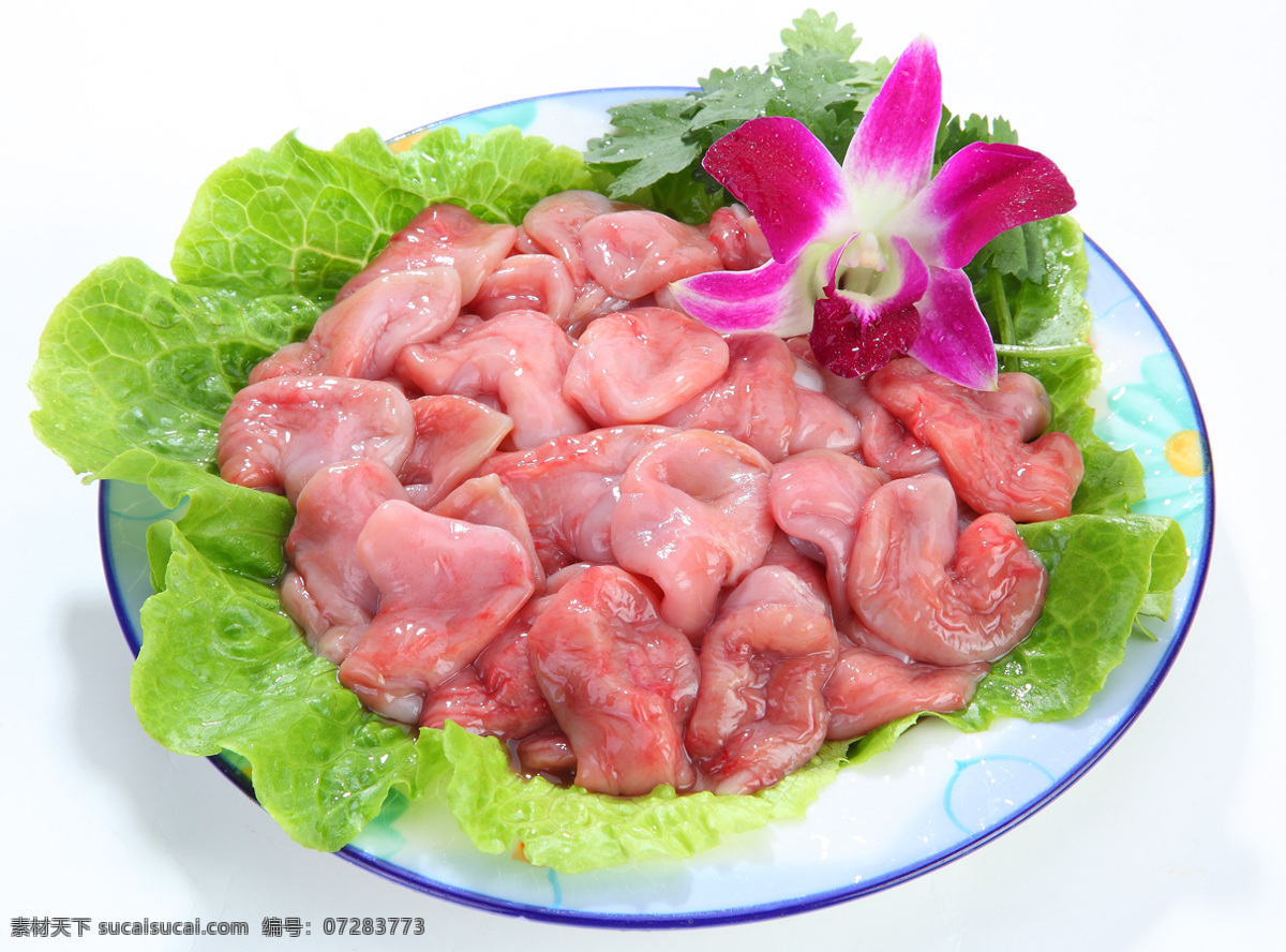 鱼肚免费下载 餐饮美食 海鲜 火锅 火锅料 美食 食物原料 鱼 鱼肚 psd源文件 餐饮素材