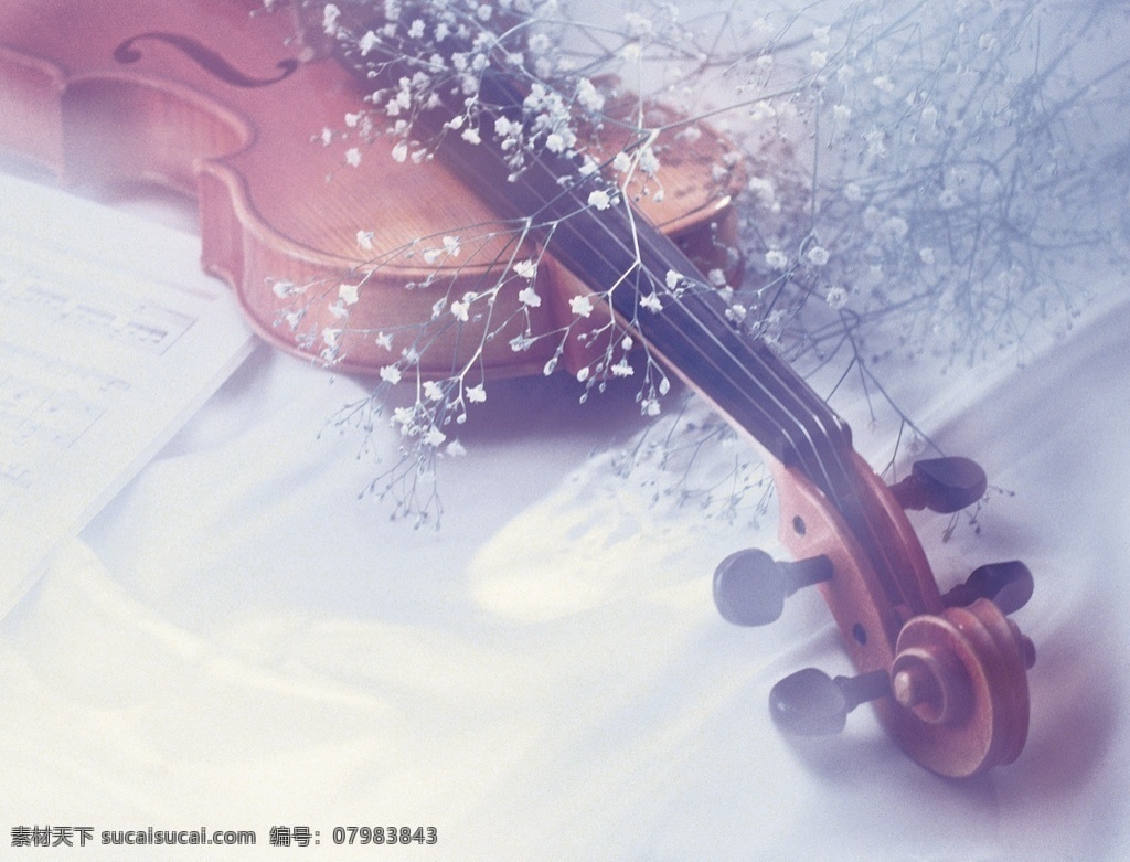 唯美的小提琴 小提琴制造 乐器 唯美 艺术 清新 小清新 乐器世界 音乐世界 古典 复古 小提琴 小提琴海报 耳机 音乐 小提琴培训 少儿小提琴 儿童小提琴 文化艺术 舞蹈音乐
