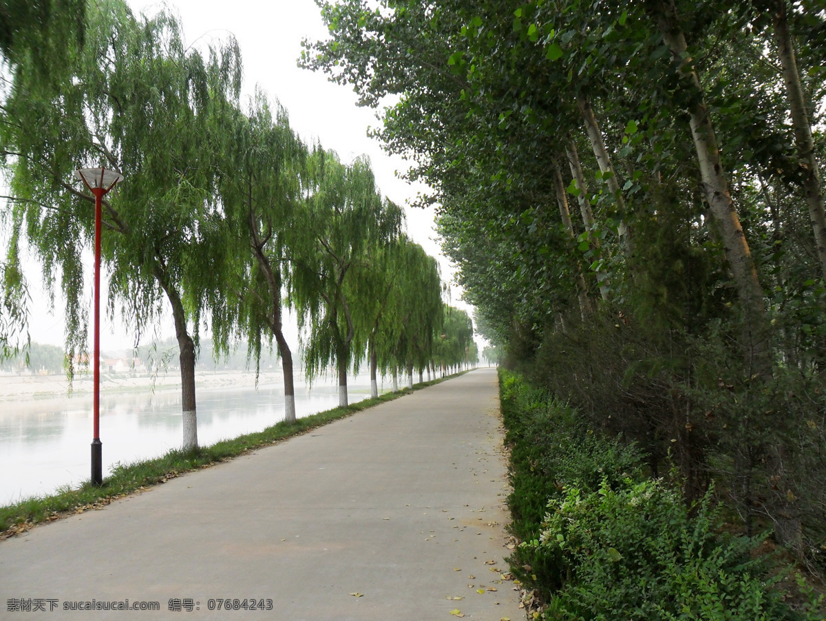 河边 晨景 垂柳 河水 绿树 小河 小路 薄雾 风景 生活 旅游餐饮