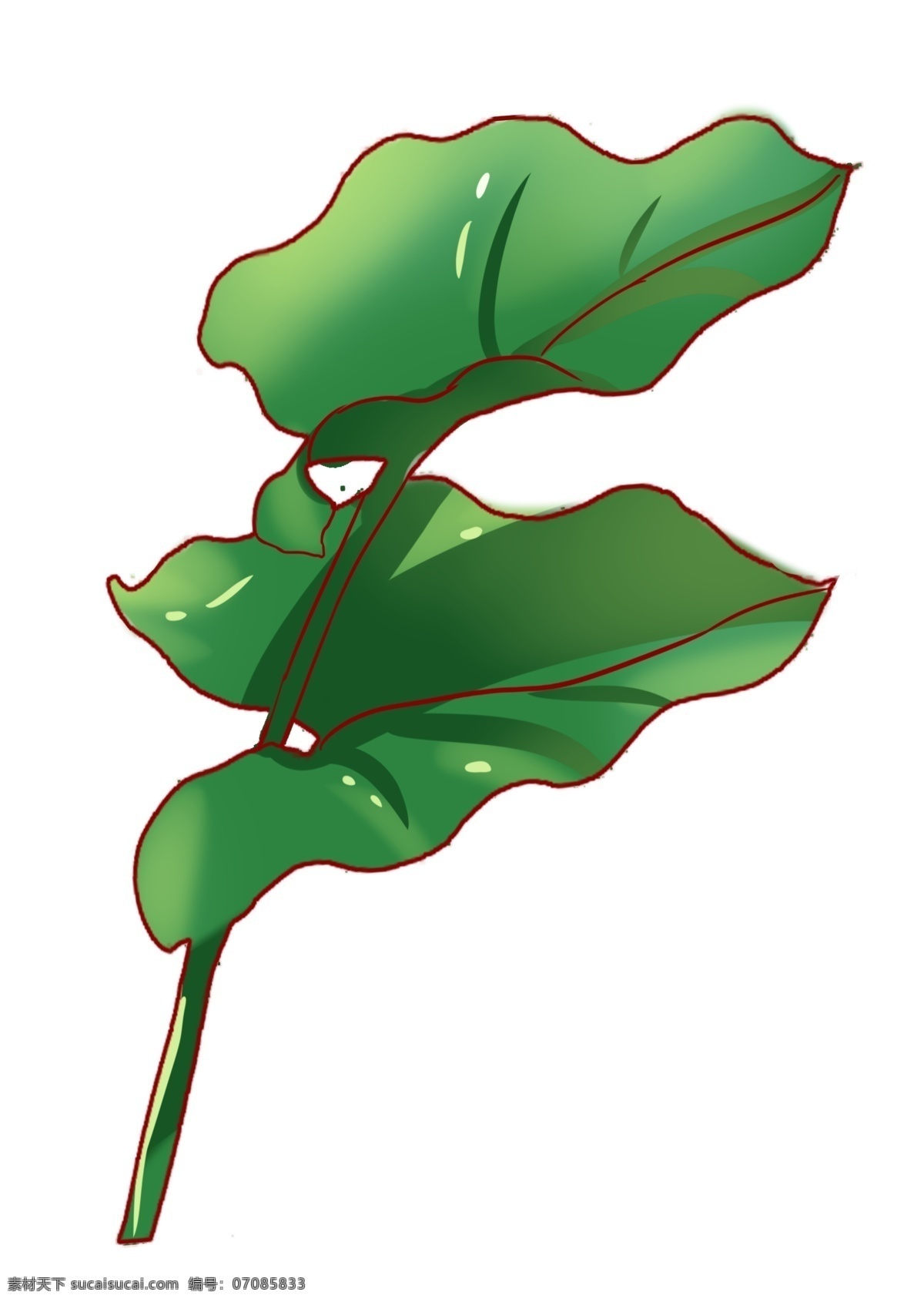 精美绿色植物 绿色 叶子 植物