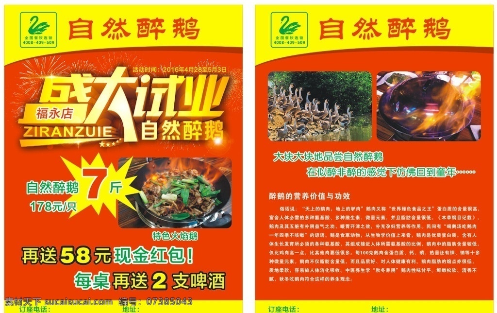自然 醉 鹅 宣传单 盛大开业宣传 开业宣传单 自然醉鹅宣传 鹅的由来 有益的火焰鹅 火焰鹅宣传单 柴火鸭宣传单 柴火鸡宣传单 开业海报 盛大开业海报