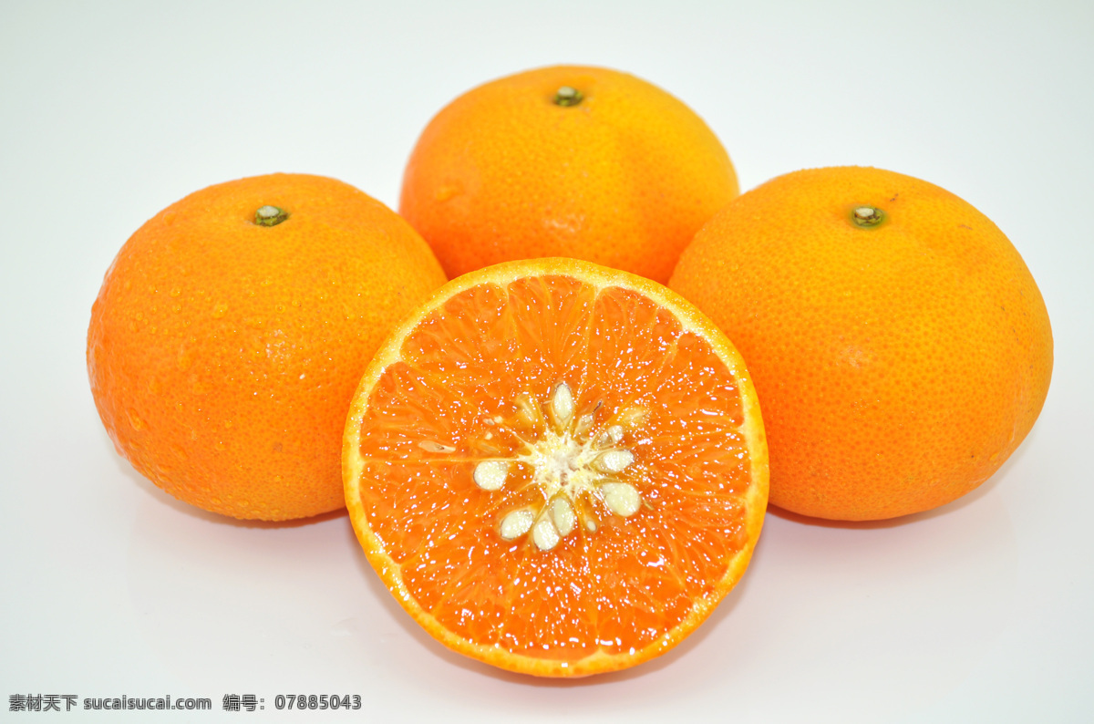 茂谷柑拍摄 茂谷柑 蜜桔 柑橘 桔子 皇帝柑 贡桔 橘子 生物世界 水果