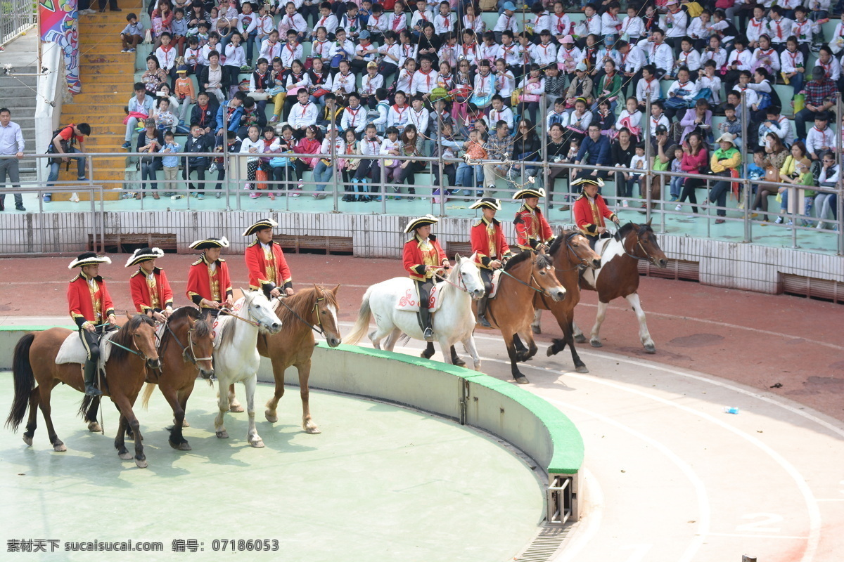 骑马表演 上海市 野生动物园 生物世界 观赏 旅游景点摄影 表演场地 野生动物