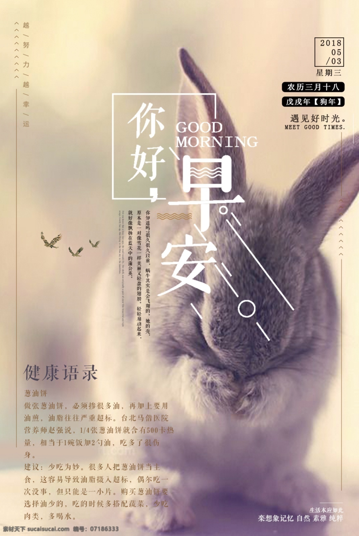 早安 文艺 宣传海报 动物 五月 清新 展板 健康语录 海报
