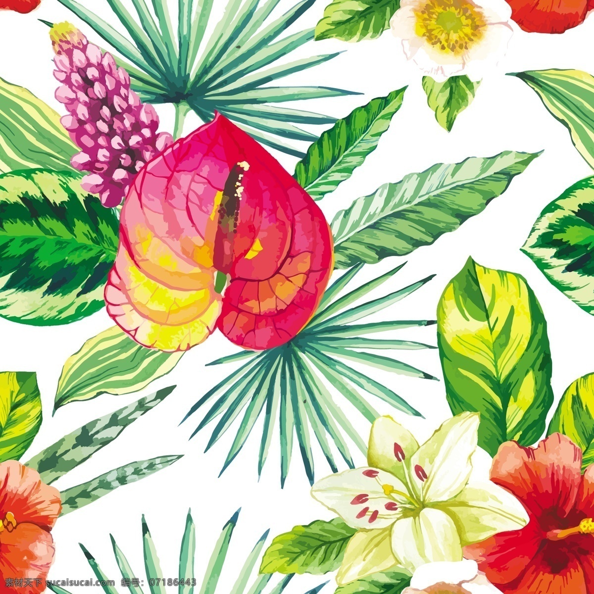 龟背叶 棕叶 芭蕉叶 热带 热带雨林 夏季 火烈鸟 夏季素材 热带绿叶 生物世界 树木树叶