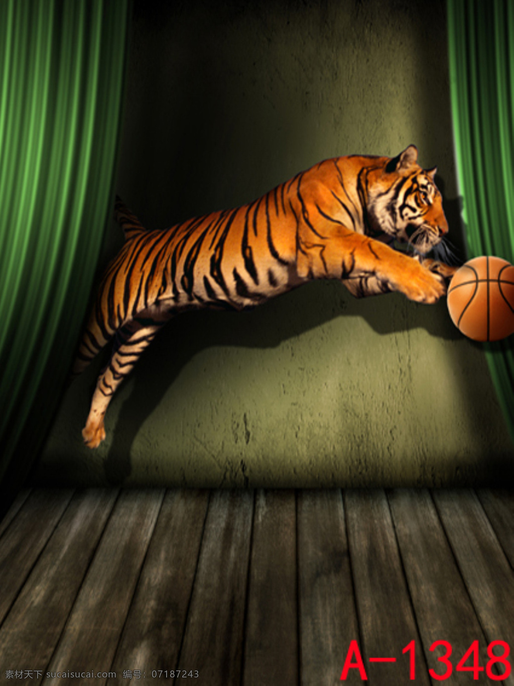篮球 老虎免费下载 影楼背景布 主播 背景图片