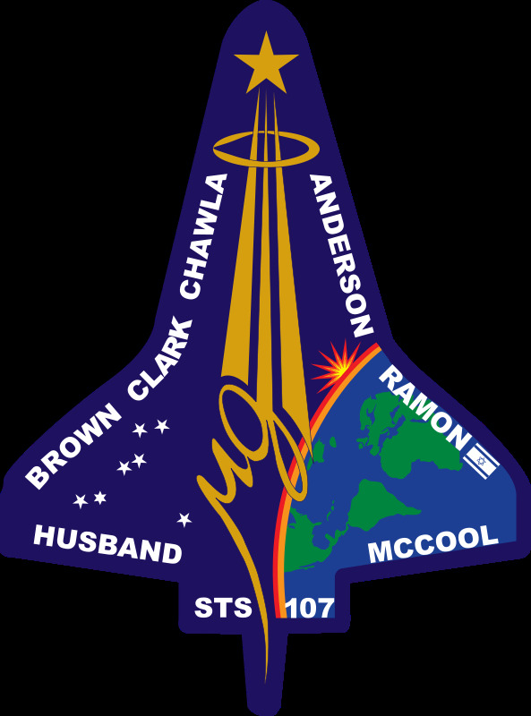 sts 飞行 徽章 美国国家航空航天局 upload2openclipart svg 黑色