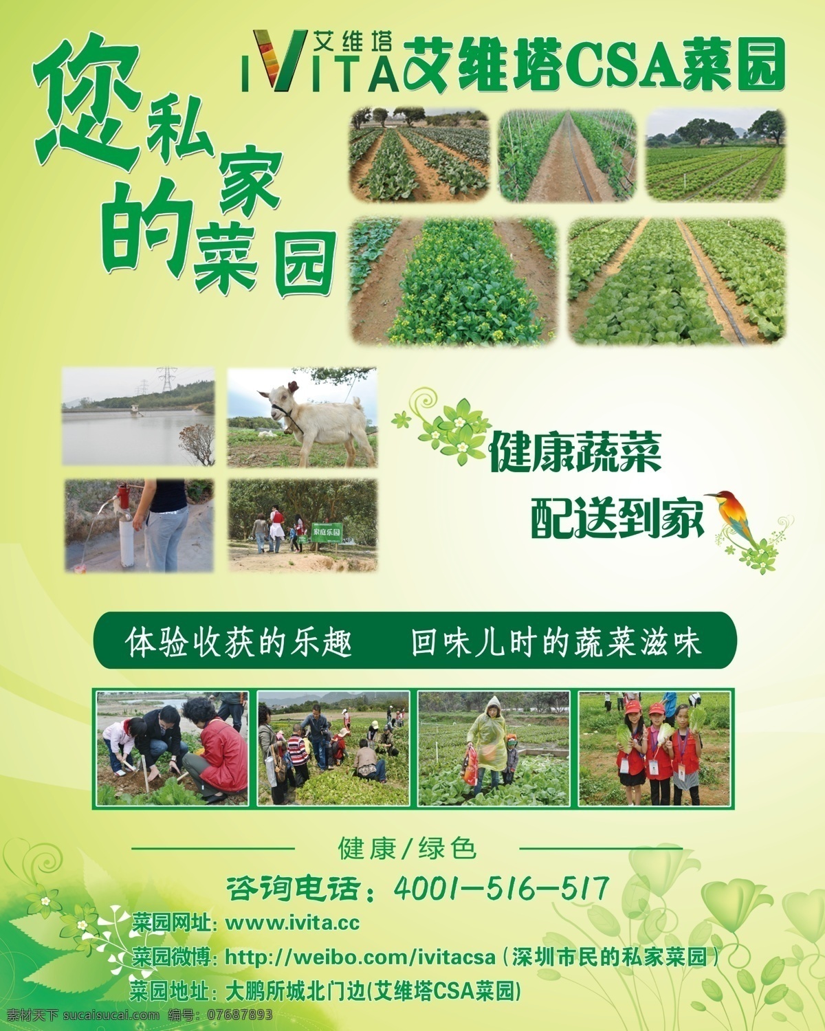 绿色蔬菜海报 绿色蔬菜设计 设计素材 绿色蔬菜 绿色 生态蔬菜 新鲜蔬菜 蔬菜素材 蔬菜设计 健康蔬菜 分层 源文件