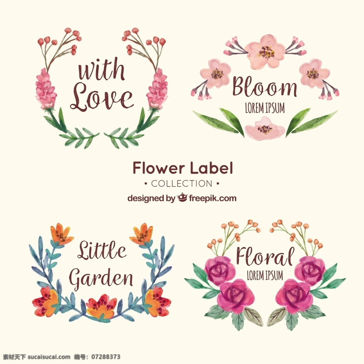 手绘 水彩 风格 花卉 标签 图标 水彩风格 花卉标签