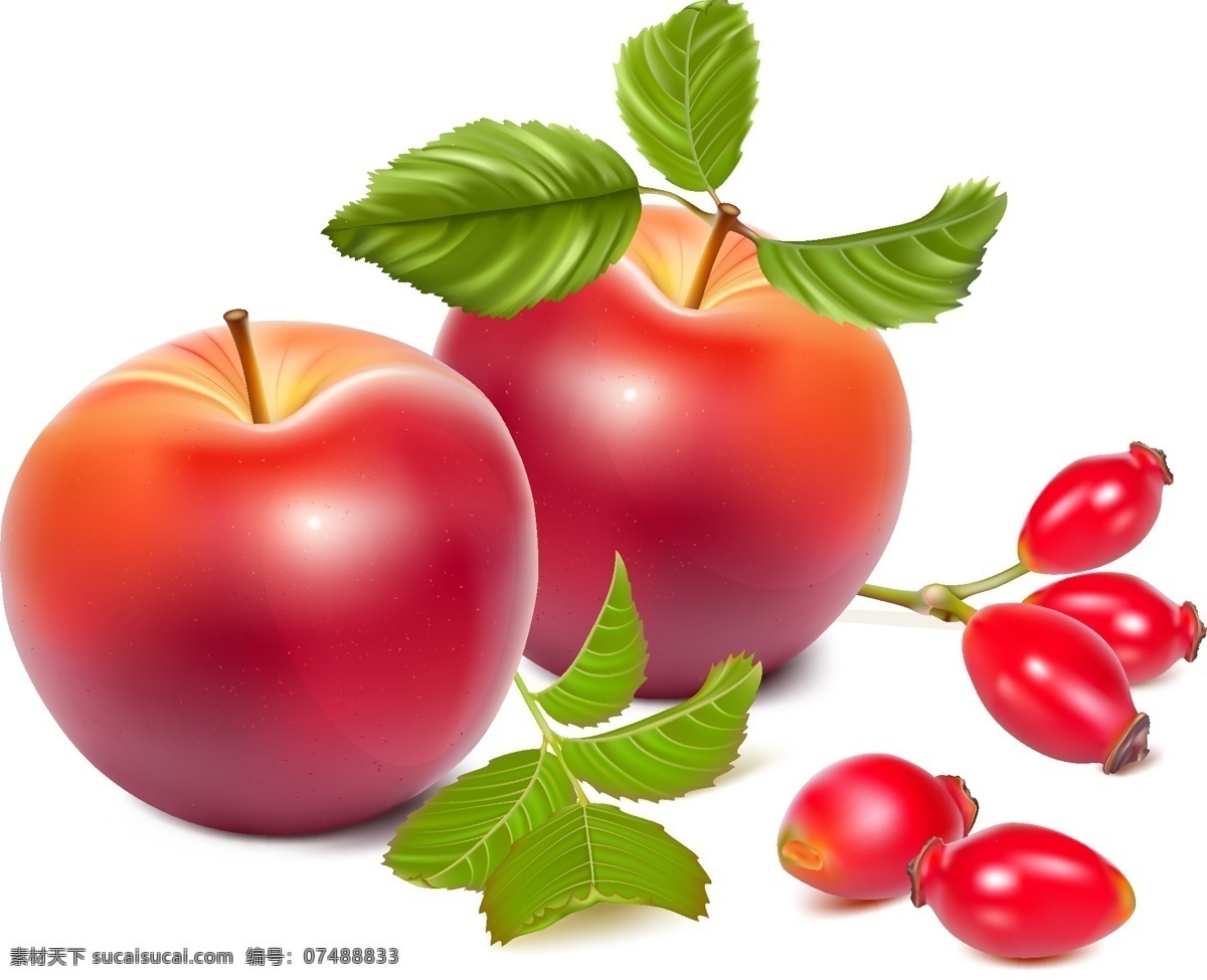 美味可口 新鲜 红苹果 美味 苹果 水果 透明元素 ai元素 免抠元素