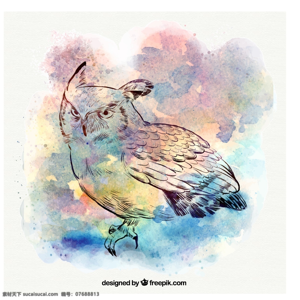 水彩 背景 猫头鹰 素描 手 自然 性格 鸟类 动物 手绘 羽毛 翅膀 绘画 野生 草图 野生动物