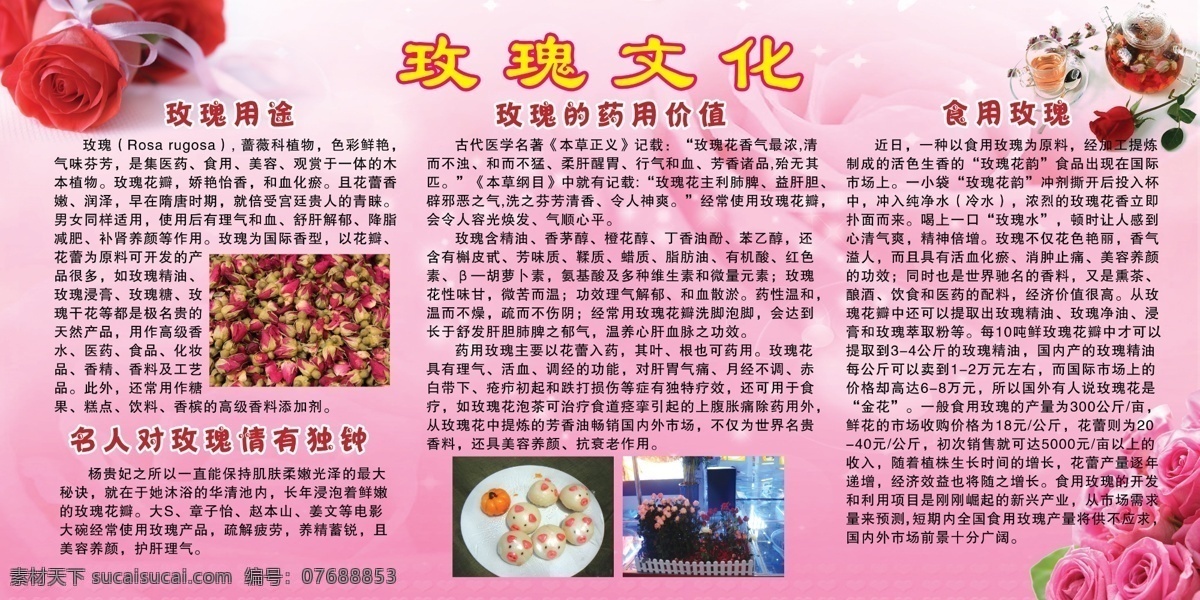 广告设计模板 抗衰老 美容养颜 源文件 展板模板 玫瑰 文化 模板下载 玫瑰文化 食用玫瑰 药用 价值 玫瑰的用途 psd源文件